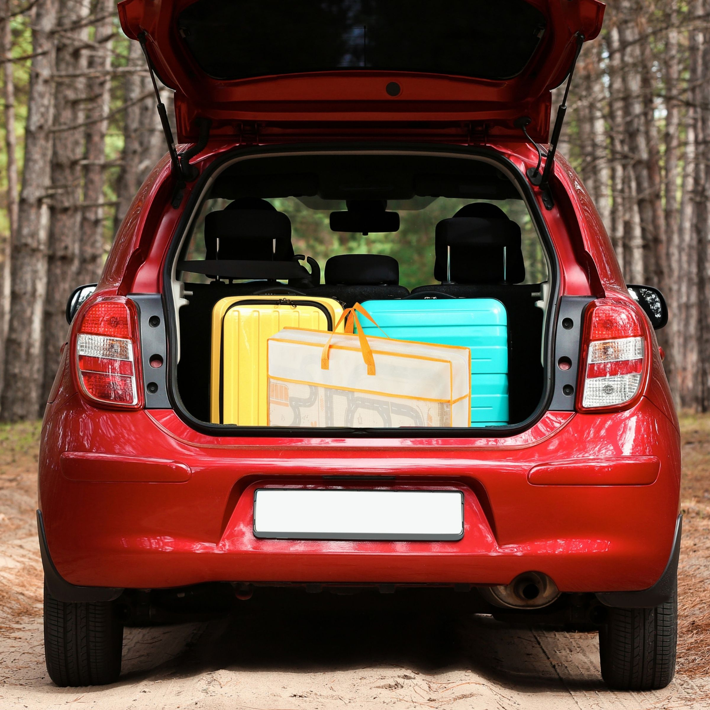 Dvostrana sklopiva pjenasta prostirka 180 x 120 x 1 cm - Magic Forest/Autumn Streets - boho