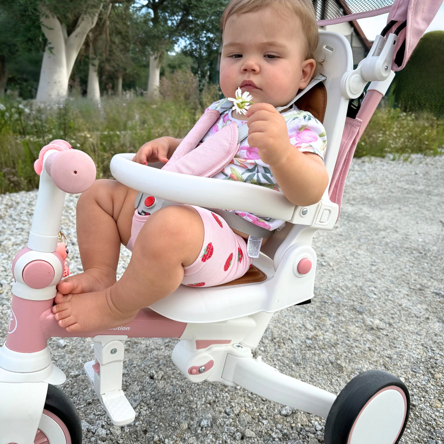 TOBI FOREST 8-u-1 višenamjenski tricikl - roza