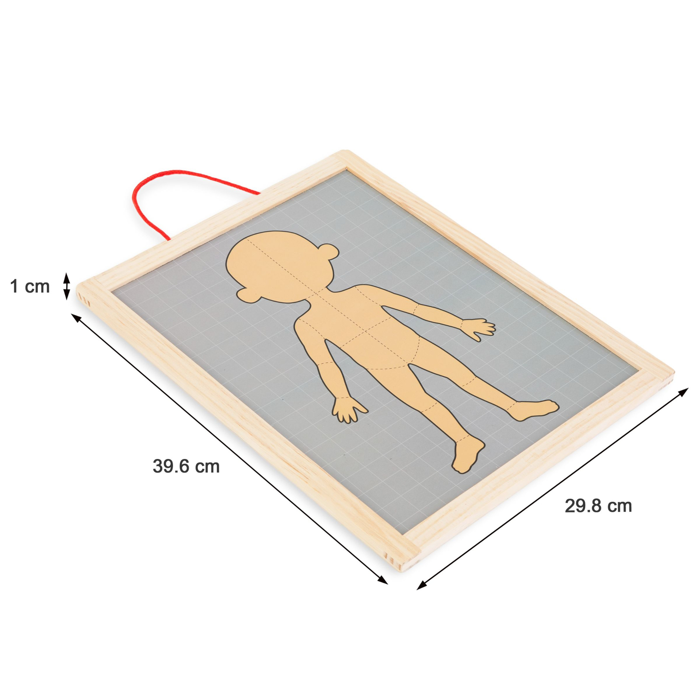 Magnetske slagalice - Učenje anatomije - Ljudsko tijelo