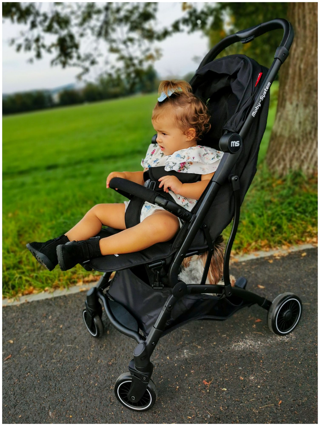 Kolica Moby-System LENA