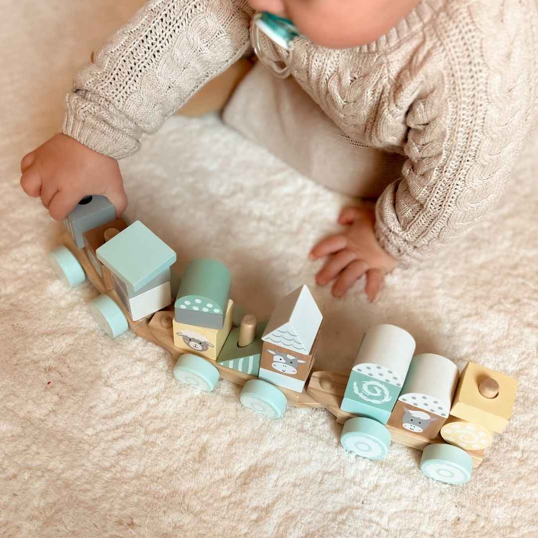 Drveni vlak s kockama za dječaka - Farma