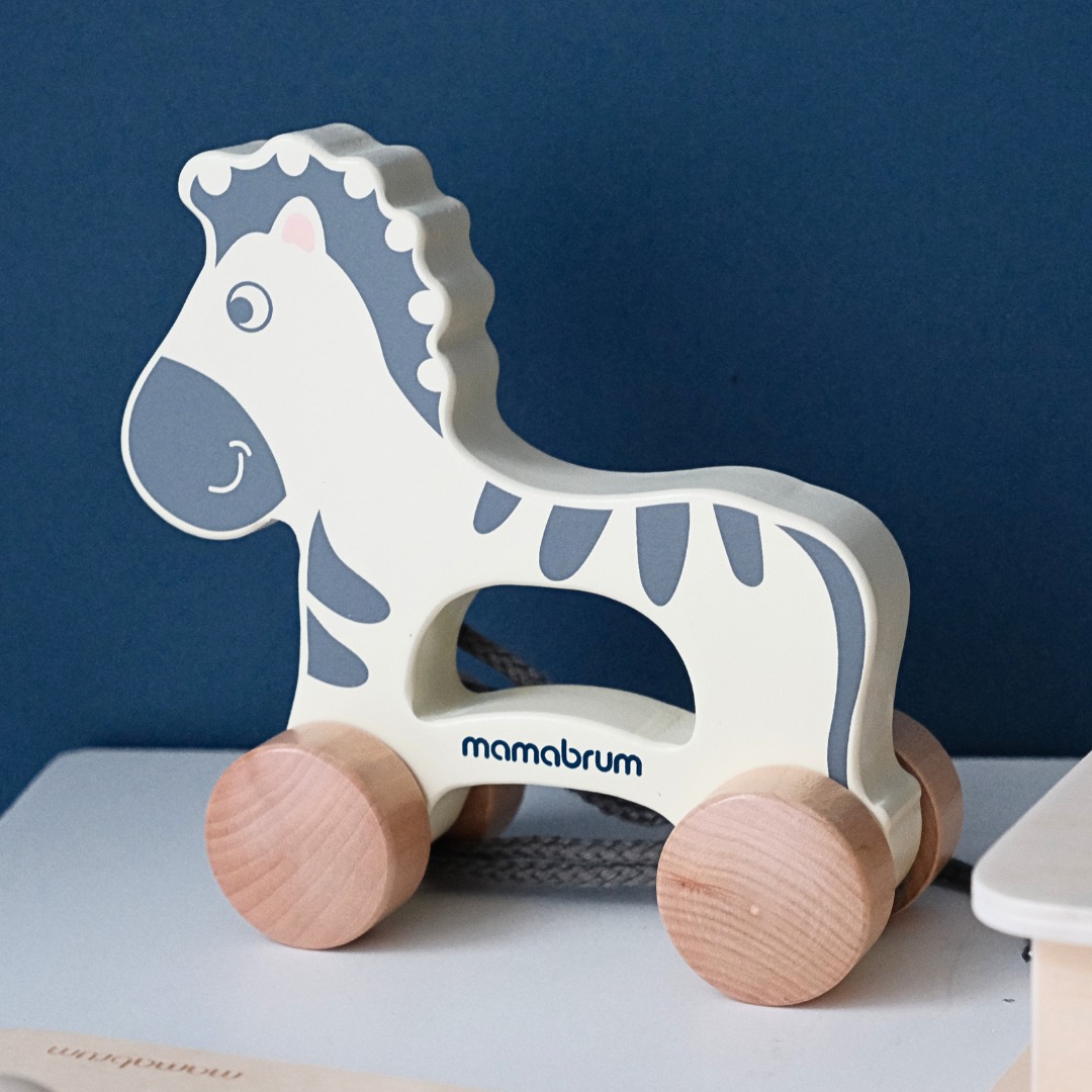 Set Montessori igračaka za dijete od 19-24 mjeseca