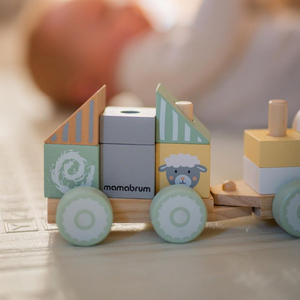 Drveni vlak s kockama za dječaka - Farma